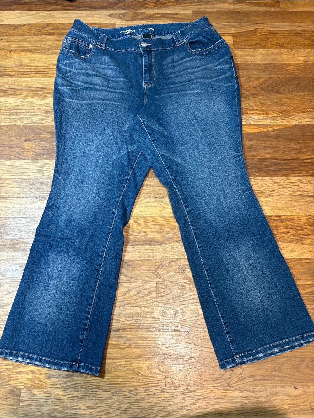 LANE BRYANT distinctly boot jeans